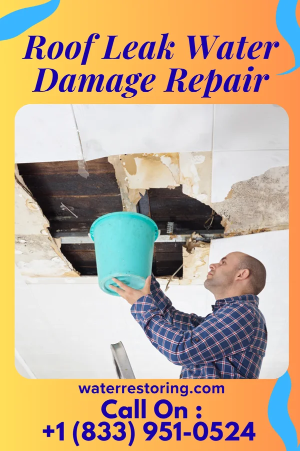 Roof Leak Water Damage Repair in New England, GA