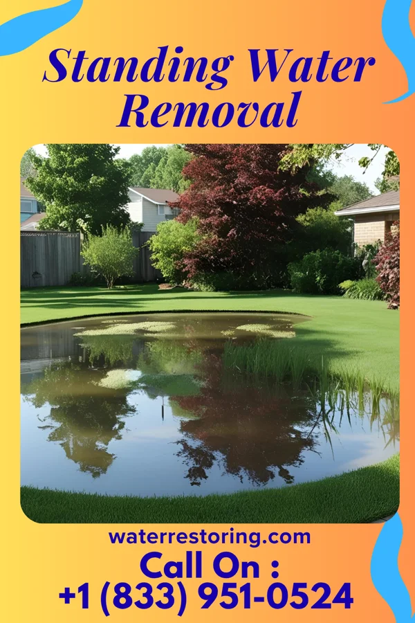Standing Water Removal in New England, GA